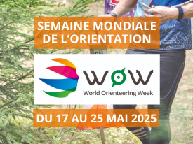 Résultats Animation WOW 2025 – Le Donjon