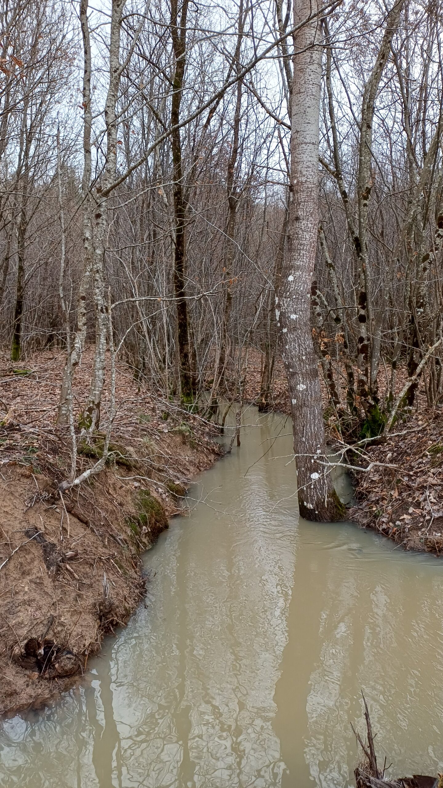 Résultats du Championnat de Ligue de Moyenne Distance et du Sprint régional